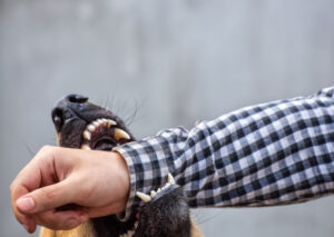 How Meyers Injury Law Can Help Victims of Dog Bites in Brentwood, TN
